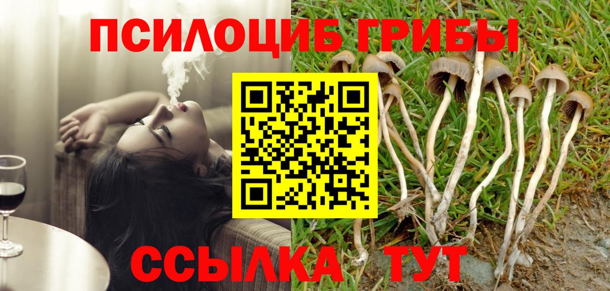 Муравленко  Галлюциногенные грибы Psilocybe  где продают   Вход с VPN 